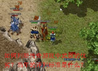 ����жϴ�����Ϸ�����������ӣ���������б�׼��ʲô��