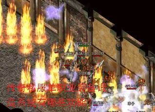 ����˽����ְҵװ������ϵͳ����Щ���ܣ�