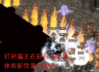 ����è���ڰ����ŵľ���ˢ��λ�������