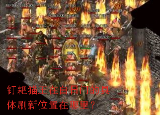 ����è���ڰ����ŵľ���ˢ��λ�������