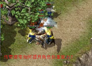 �����������������ɫ����������