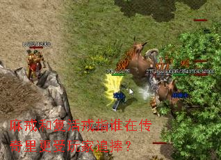 ���͸����ָ˭�ڴ�����������׷����