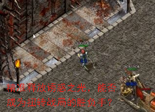 ��׼�ͷ��ջ�֮�⣬�ܷ��ΪŤתս�ֵ�ʤ���֣�