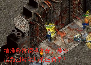 ��׼�ͷ��ջ�֮�⣬�ܷ��ΪŤתս�ֵ�ʤ���֣�