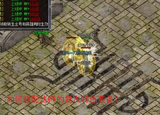 ��δ��䷨ʦ�ĸ�����ɫװ����