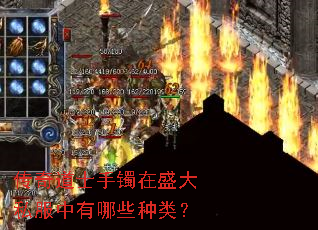 �����ʿ������ʢ��˽��������Щ���ࣿ