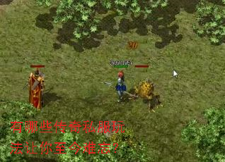 有哪些传奇私服玩法让你至今难忘? 有哪些传奇私服玩法让你至今难忘?