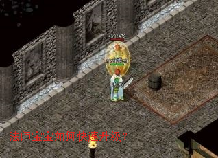 ��ʦ������ο���������