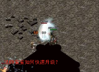 ��ʦ������ο���������