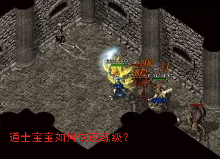 ��ʿ������ο���������