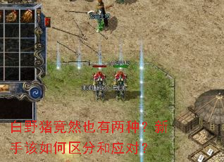 ��Ұ����ȻҲ�����֣����ָ�������ֺ�Ӧ�ԣ�