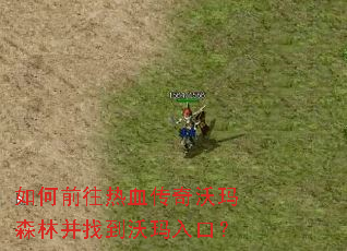 如何前往热血传奇沃玛森林并找到沃玛入口? 如何前往热血传奇沃玛森林并找到沃玛入口?