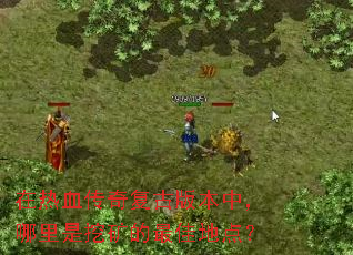 在热血传奇复古版本中,哪里是挖矿的最佳地点? 在热血传奇复古版本中,哪里是挖矿的最佳地点?