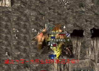 ���䴫������ְҵ��ο���������