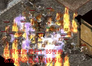 ��ο�������1.85����˽���е���������ȼ���