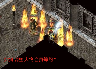 如何调整人物会员等级? 如何调整人物会员等级?