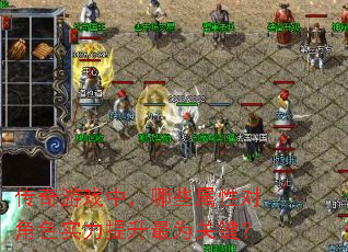 传奇游戏中,哪些属性对角色实力提升最为关键? 传奇游戏中,哪些属性对角色实力提升最为关键?