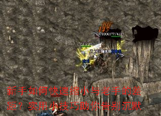 ������ο�����С�����ֵĲ�ࣿʵ��С�����������Ĭ