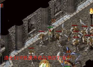 道士如何快速升级与高效打宝? 道士如何快速升级与高效打宝?