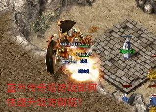 ���´�������ս��ο���������������