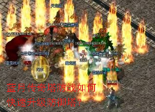 ���´�������ս��ο���������������