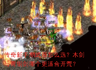 ����������������ôѡ��ľ������ͭ���ĸ����ʺϿ��ģ�