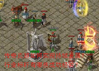 ����ҳ�����ʵ�ֳ�����չ����ҵ�������Щ�ɹ����飿