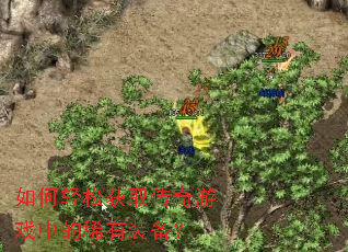 ������ɻ�ȡ������Ϸ�е�ϡ��װ����