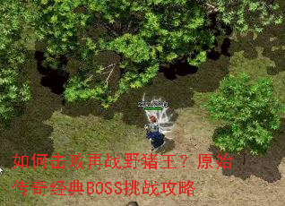 ��λ�����սҰ������ԭʼ���澭��BOSS��ս����