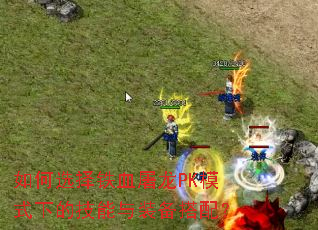 如何选择铁血屠龙PK模式下的技能与装备搭配? 如何选择铁血屠龙PK模式下的技能与装备搭配?