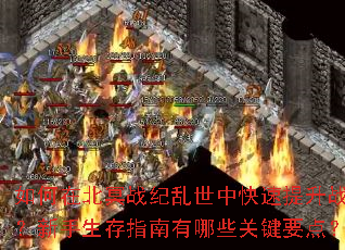 ����ڱ�ڤս�������п�������ս������������ָ������Щ�ؼ�Ҫ�㣿