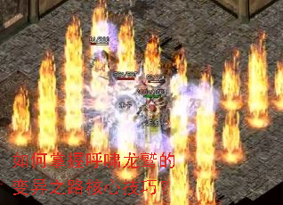 如何掌握呼啸龙鹫的变异之路核心技巧? 如何掌握呼啸龙鹫的变异之路核心技巧?