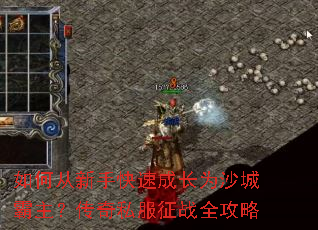 ��δ����ֿ��ٳɳ�Ϊɳ�ǰ���������˽����սȫ����