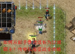 ��δ����ֿ��ٳɳ�Ϊɳ�ǰ���������˽����սȫ����