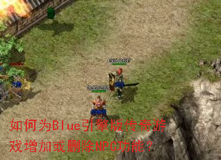 ���ΪBlue����洫����Ϸ���ӻ�ɾ��NPC���ܣ�