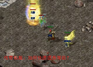 ����˽������ο��������ȼ���