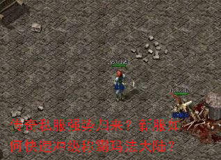 ����˽��ǿ�ƹ������·���ο��ٳ弶�ư��귨��½��