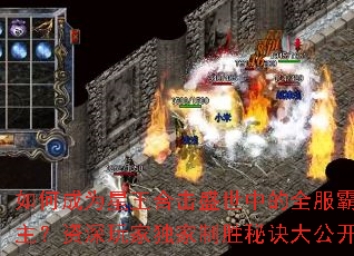 ��γ�Ϊ�����ϻ�ʢ���е�ȫ��������������Ҷ�����ʤ�ؾ��󹫿�