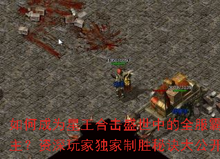 ��γ�Ϊ�����ϻ�ʢ���е�ȫ��������������Ҷ�����ʤ�ؾ��󹫿�