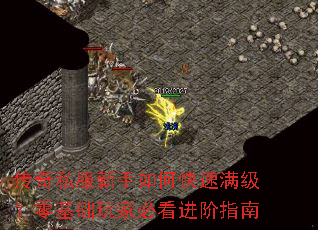 ����˽��������ο����������������ұؿ�����ָ��