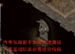 ����˽��������ο����������������ұؿ�����ָ��