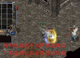 ����˽��������ο����������������ұؿ�����ָ��