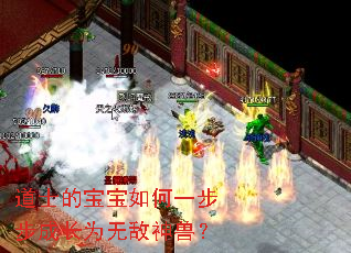 ��ʿ�ı������һ�����ɳ�Ϊ�޵����ޣ�