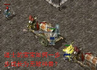 ��ʿ�ı������һ�����ɳ�Ϊ�޵����ޣ�