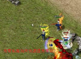 ����˽����ο��������ȼ���