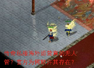 传奇私服海外运营真的无人管?官方为何默许其存在? 传奇私服海外运营真的无人管?官方为何默许其存在?