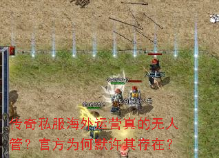 传奇私服海外运营真的无人管?官方为何默许其存在? 传奇私服海外运营真的无人管?官方为何默许其存在?