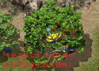 传奇游戏如何应对没有相生相克设定的战斗挑战? 传奇游戏如何应对没有相生相克设定的战斗挑战?