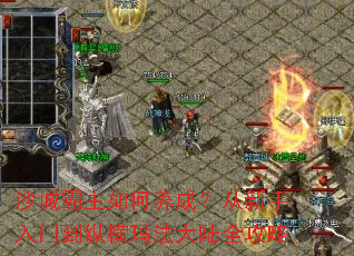 ɳ�ǰ���������ɣ����������ŵ��ݺ��귨��½ȫ����