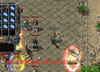 ������ÿ�ݼ���������սBOSS��